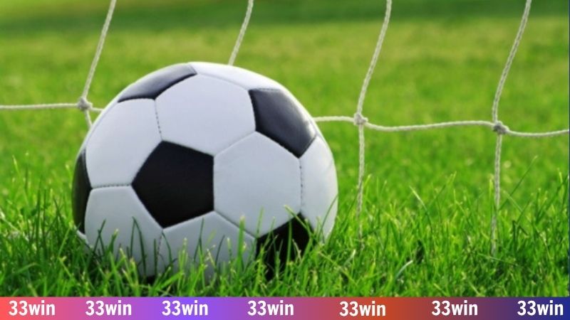 Khám phá kèo tài xỉu nửa trái